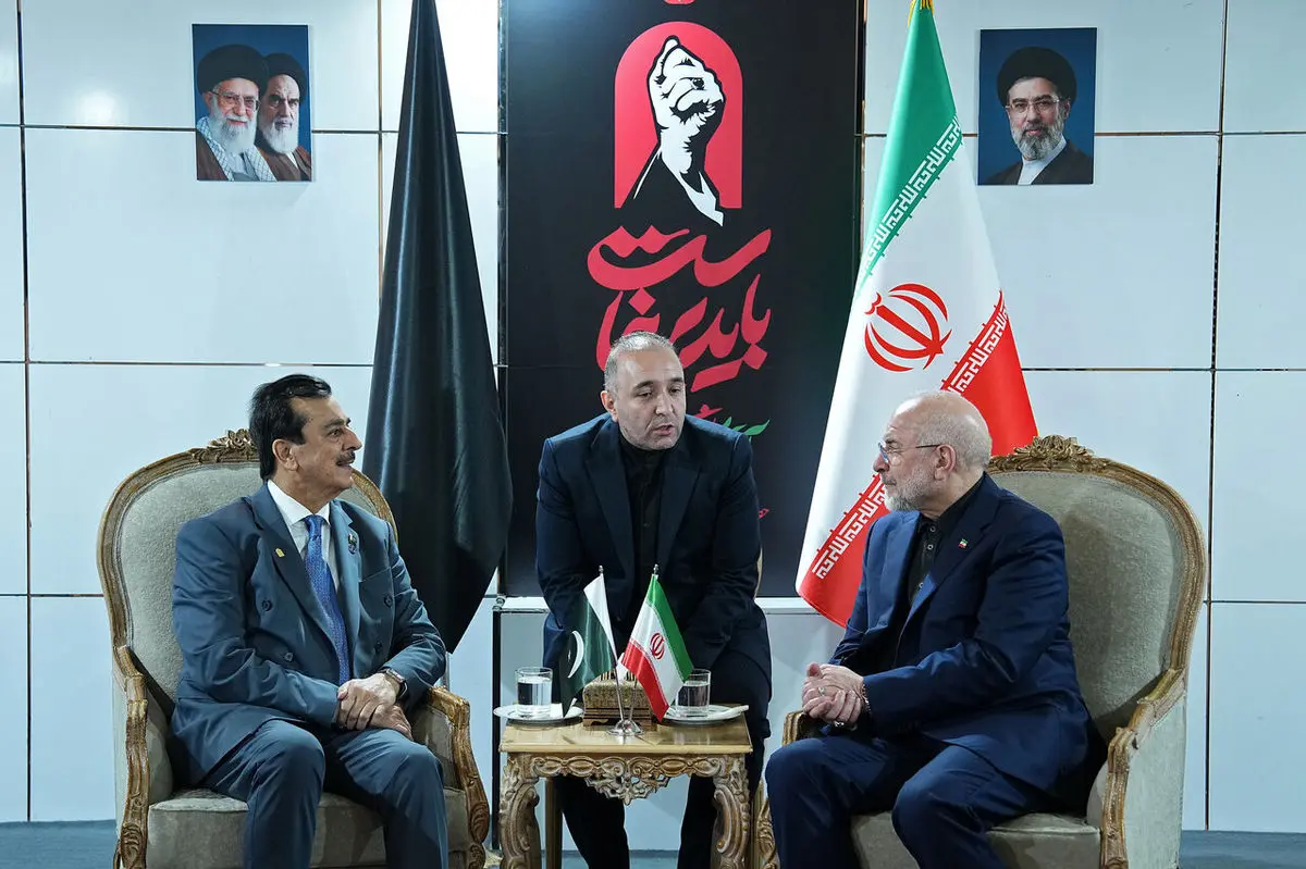 قدردان همراهی ملت پاکستان در دوران سختی هستیم/ رئیس مجلس سنای پاکستان: پیشرفت ایران، ضامن صلح و ثبات در منطقه است