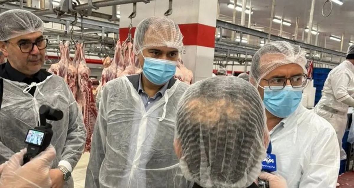 پیگیری تخصیص ارز برای واردات گوشت در بازدید بازرس سازمان بازرسی از مجتمع صنایع غذایی جنوب تهران