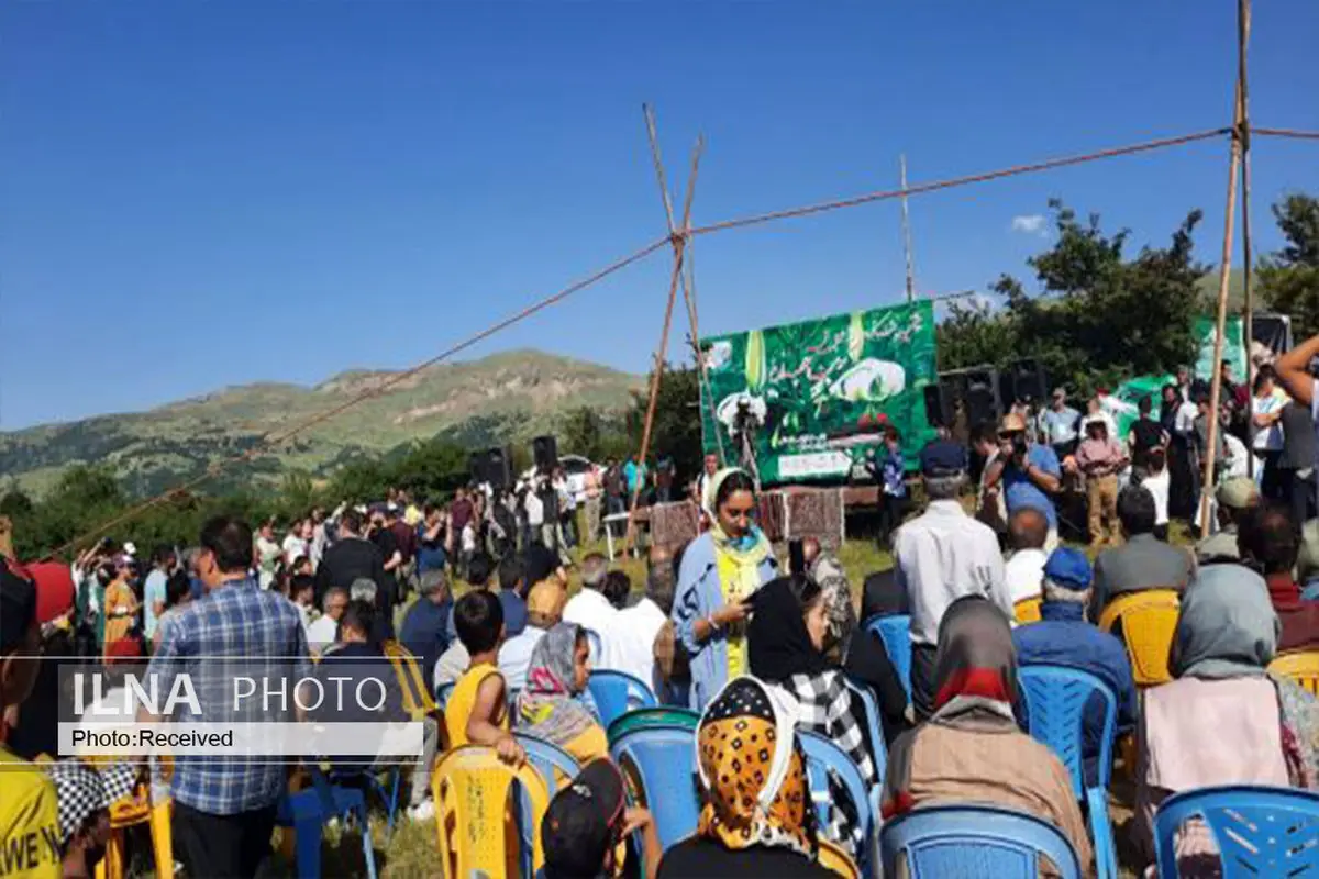  هشتمین جشنواره گلدهی سوسن چلچراغ در داماش برگزار شد