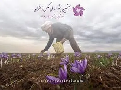 انتخاب هنرمند زنجانی، عضو هیئت داوران هفتمین جشنواره ملی عکس زعفران