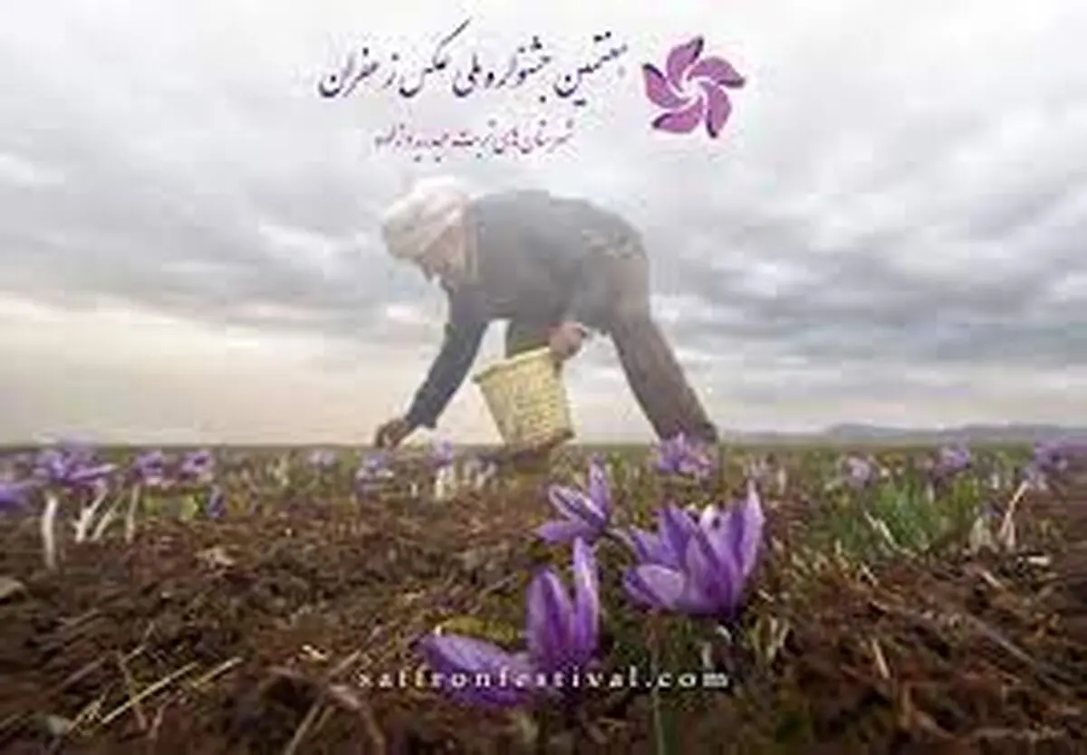 انتخاب هنرمند زنجانی، عضو هیئت داوران هفتمین جشنواره ملی عکس زعفران