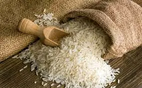 خرید برنج مرغوب گیلان از هفته آینده توسط بازرگانان آغاز می‌شود