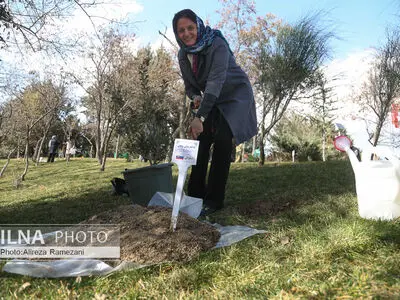 مراسم کاشت نهال دوستی