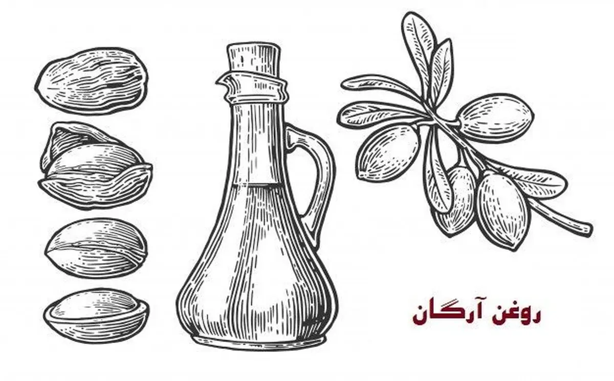 روغن آرگان چیست و چه خواصی دارد؟ / بررسی 3 ماسک موی حاوی روغن آرگان