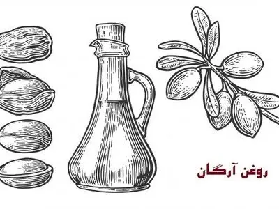 روغن آرگان چیست و چه خواصی دارد؟ / بررسی 3 ماسک موی حاوی روغن آرگان