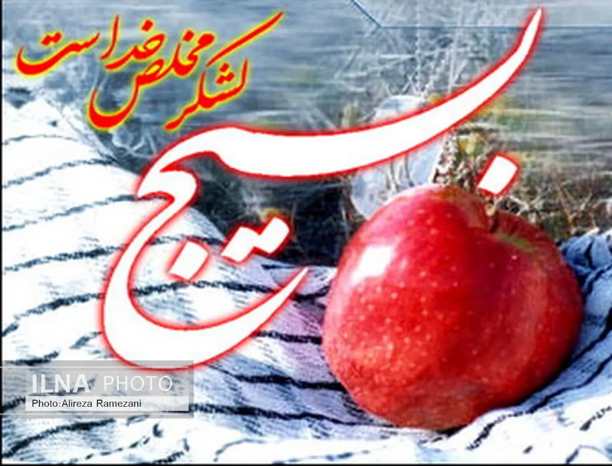 گرامیداشت هفته بسیج توسط شورای اسلامی و دهیاری اسلام آباد سیمان تهران