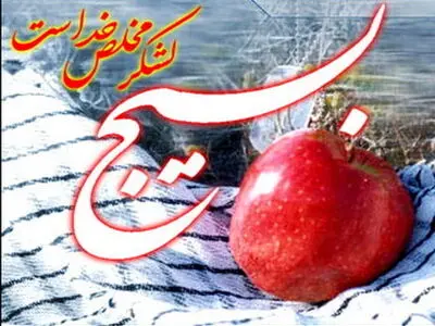 گرامیداشت هفته بسیج توسط شورای اسلامی و دهیاری اسلام آباد سیمان تهران