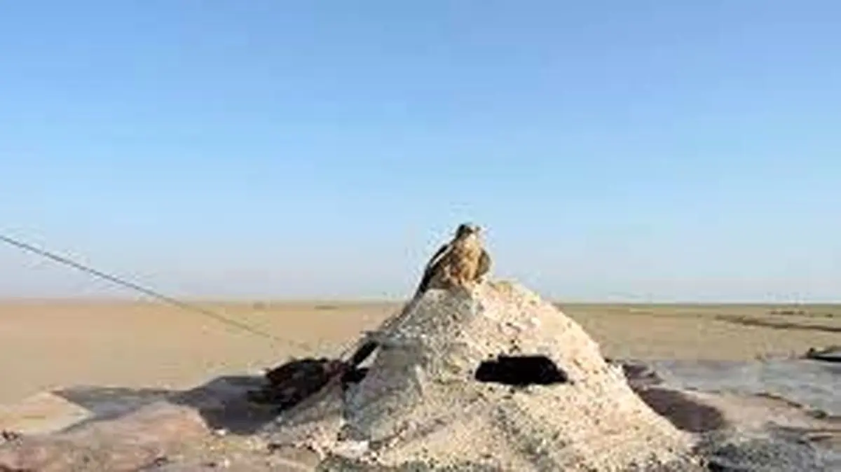 تخریب 7 کوخه شکار پرنده در استان مرکزی / پاییز به فصل آغاز کار شکارچیان بازهای شکاری معروف است