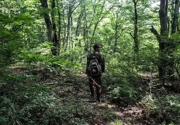 کارگران قرق‌بانِ جنگل‌های مازندران از ابتدای سال حقوق نگرفته‌اند/ کسی پاسخگو نیست