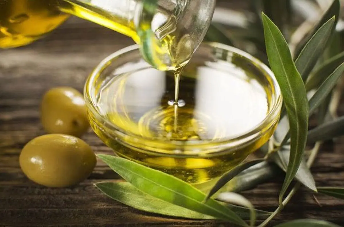 ارتقاء میزان مصرف روغن زیتون نیازمند فرهنگ‌سازی است