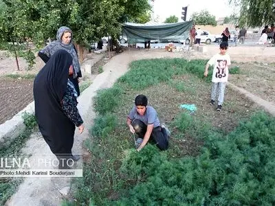 کشت و کار در بیشه ناژوان اصفهان