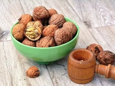 معرفی 2 نهال گردو پرفروش در مناطق معتدل تا سردسیر