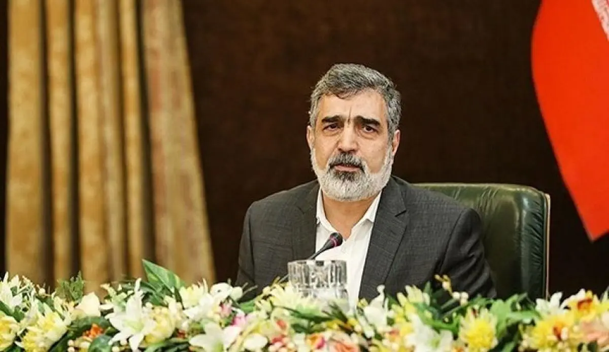 المتحدث باسم المنظمة الوطنیة للطاقة النوویة: إحتیاطی إیران من الیورانیوم المخصب بلغ 370 کلغم 
