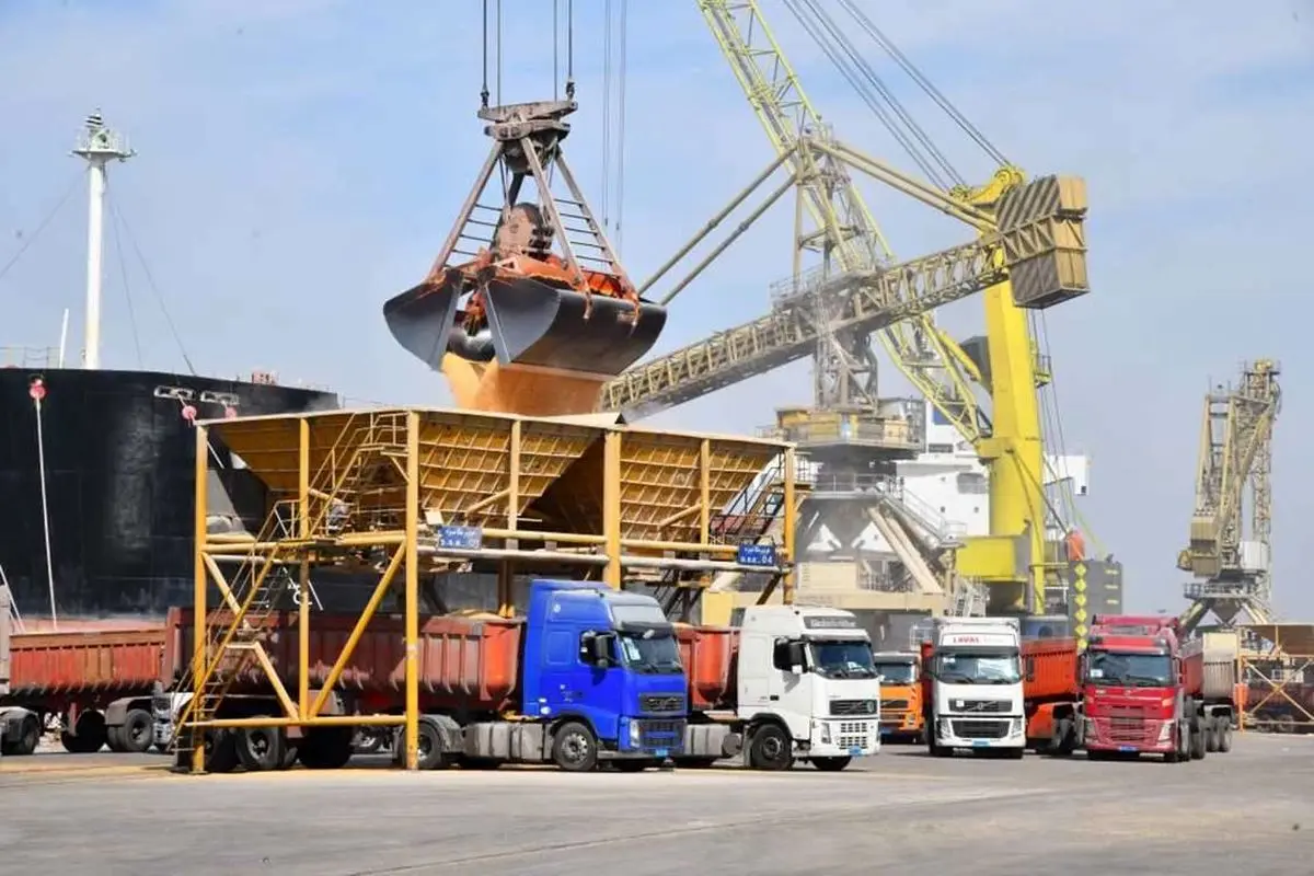 ترخیص شبانه‌روزی نهاده‌های دامی از بندر امام خمینی (ره)