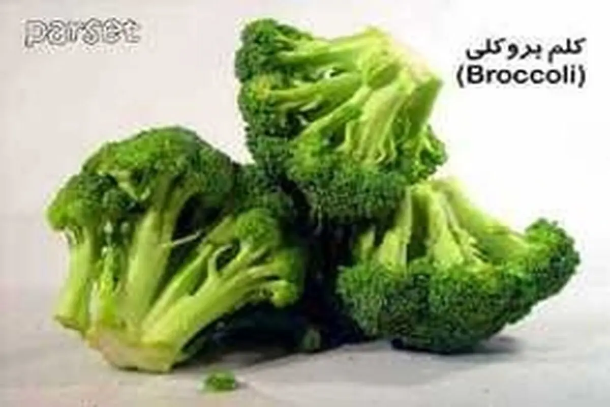 کاشت کلم بروکلی ارگانیک در چادگان