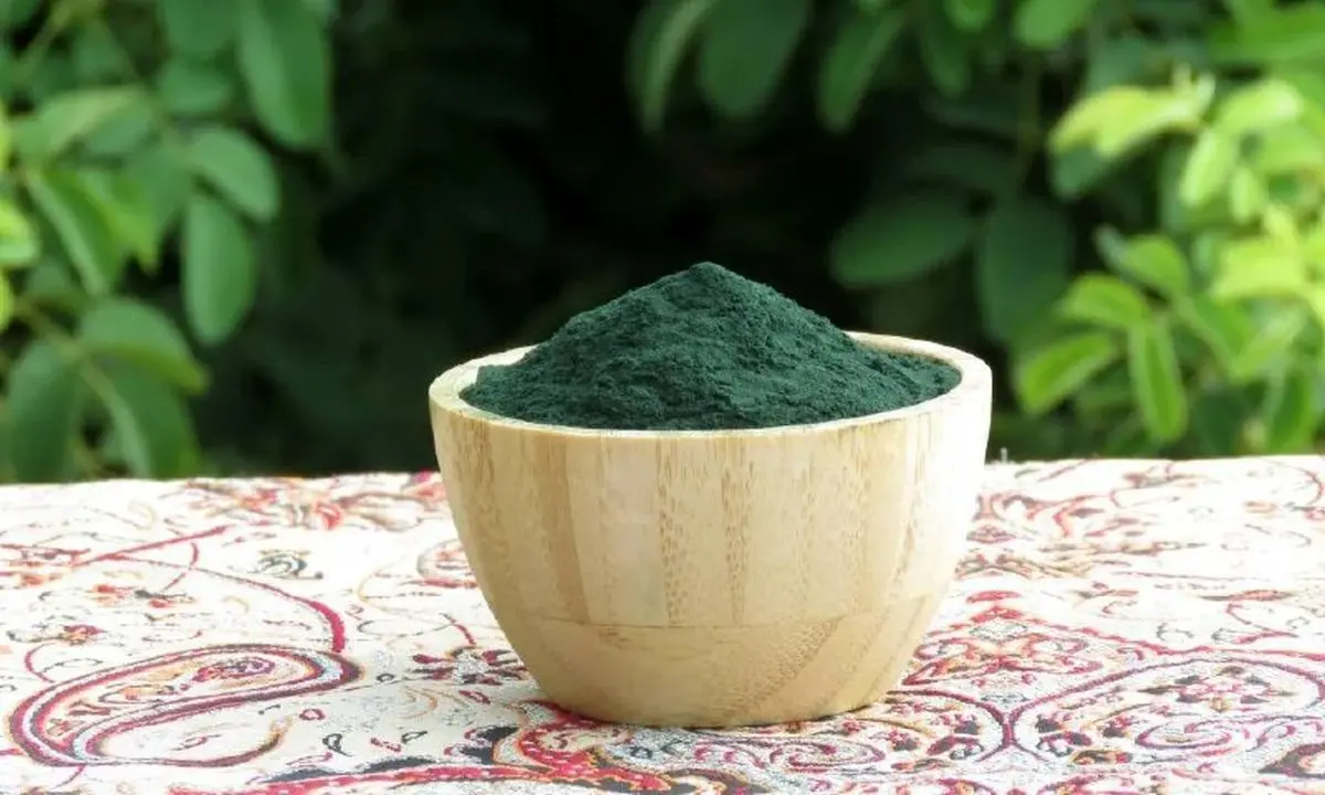 توصیه‌های ایمنی سازمان غذا و دارو درباره مصرف جلبک اسپیرولینا

