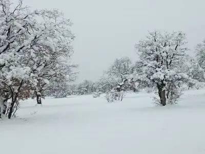 هم اکنون آغاز بارش برف در پردیس تهران + فیلم