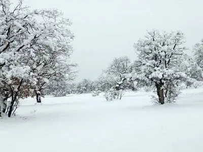  تصاویری از بارش سنگین برف در سی‌سخت + فیلم