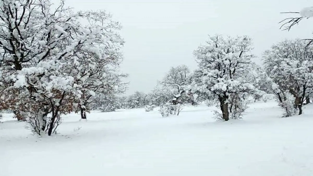 بارش برف ۵۰ سانتی در روستاهای کاشان + فیلم