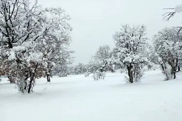 زنجان سردترین مرکز استان کشور شد