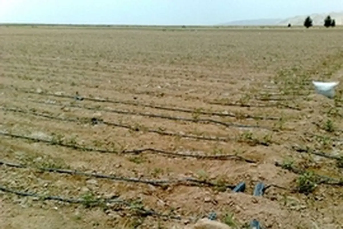 سیستم آبیاری تحت فشار در مزارع و باغ ها در حال اجرا ست