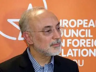 صالحی: تمت الموافقة علی عضویة ایران فی مشروع "ایتر"