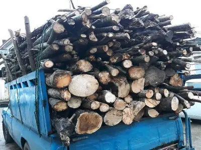 کشف 3 تن چوب قاچاق در آوج