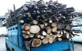 کشف ۱۸۵ اصله چوب‌آلات جنگلی در اردبیل