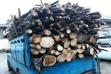 کشف ۱۸۵ اصله چوب‌آلات جنگلی در اردبیل