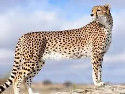asdasd