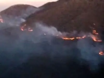 مهار آتش سوزی در جنگل‌های نمنق شهرستان جلفا