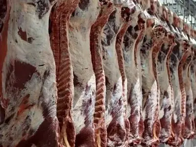 کاهش قیمت گوشت ادامه دارد