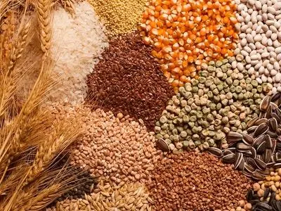 ارائه برات الکترونیک برای تأمین نقدینگی کوتاه‌مدت نهاده‌ها در استان مرکزی