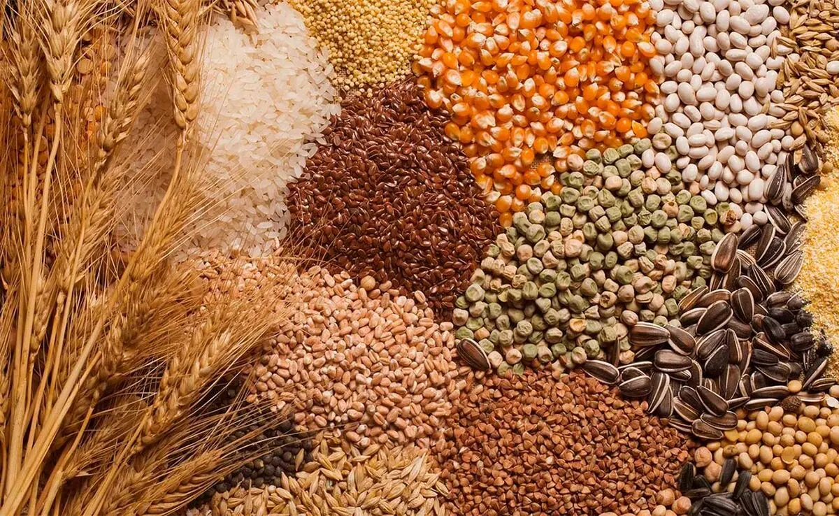 ارائه برات الکترونیک برای تأمین نقدینگی کوتاه‌مدت نهاده‌ها در استان مرکزی