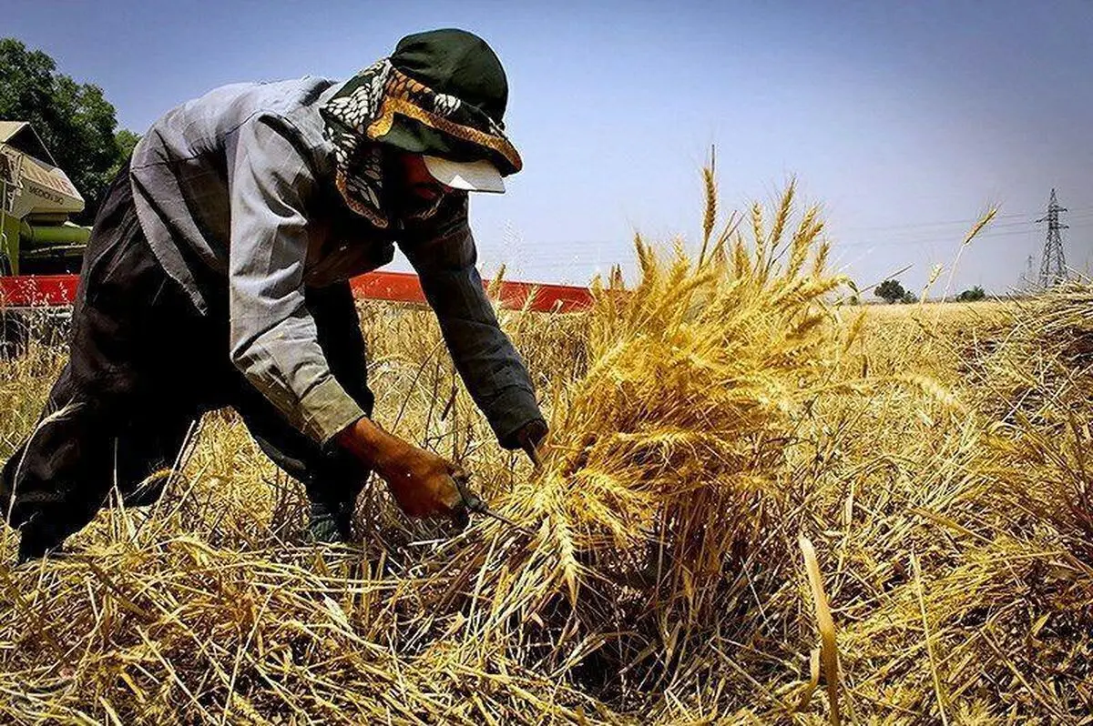 آخرین گزارش بررسی طرح‌های اشتغال روستایی 