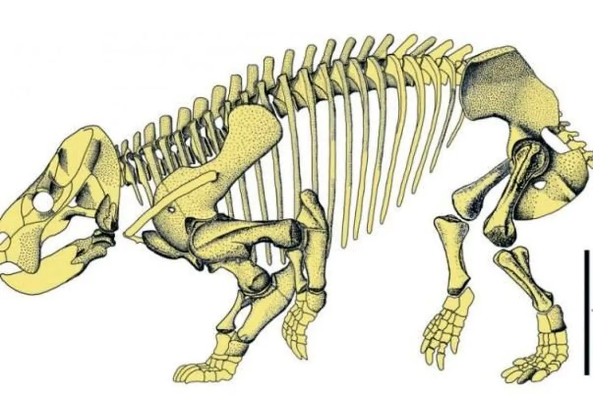 کشف بقایای ۲۰۰ میلیون ساله حیوانی بزرگ