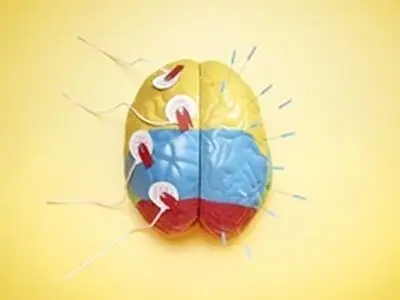 یک گام نزدیک‌تر به ساخت مغز انسان