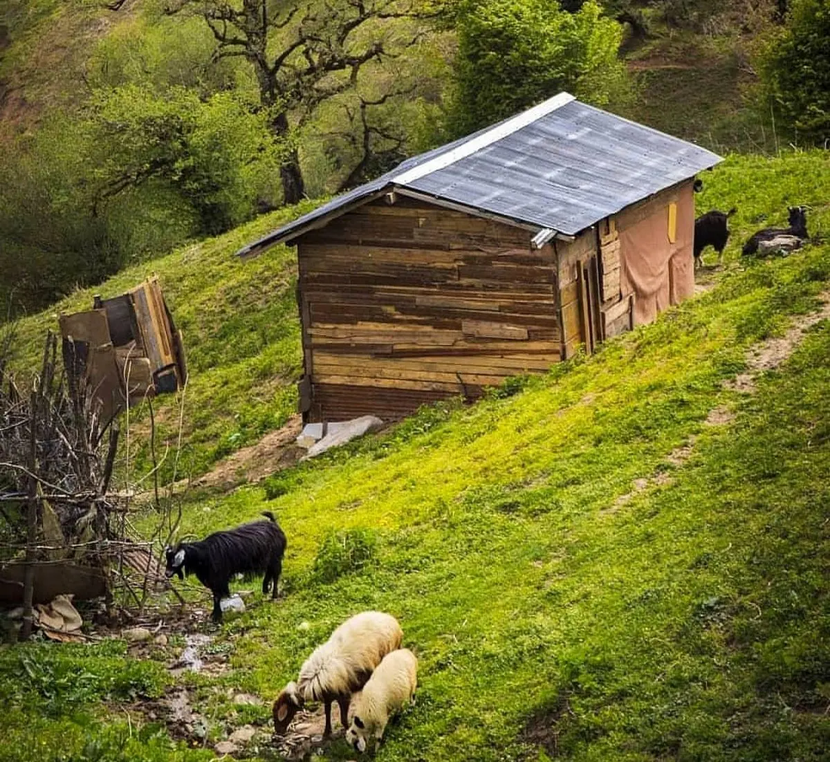 افزایش ۱۲ درجه‌ای دمای هوای گیلان