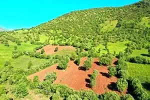 رفع تصرف ۱۳ هزار مترمربع زمین ملی در تالش