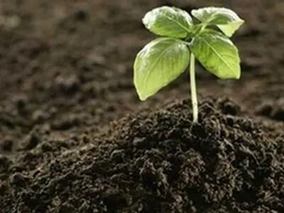 استفاده از کودهای بیولوژیک در ورزقان توسعه یافت