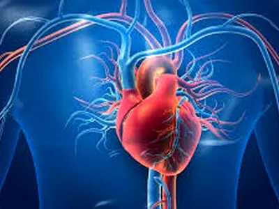 عوامل خطر بیماری‌های عروقی را بشناسیم