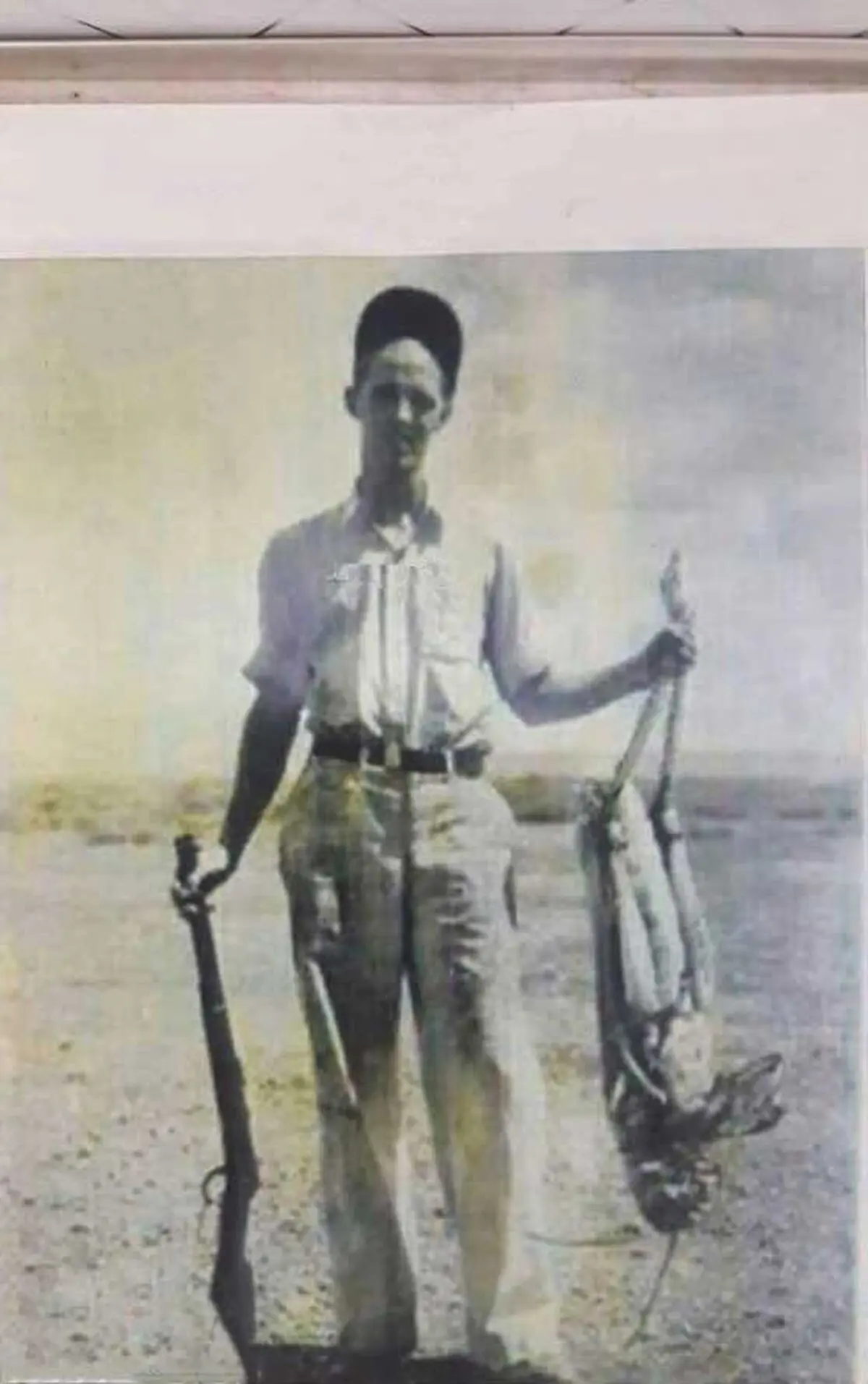 غول آساترین ملخ ایران/عکس