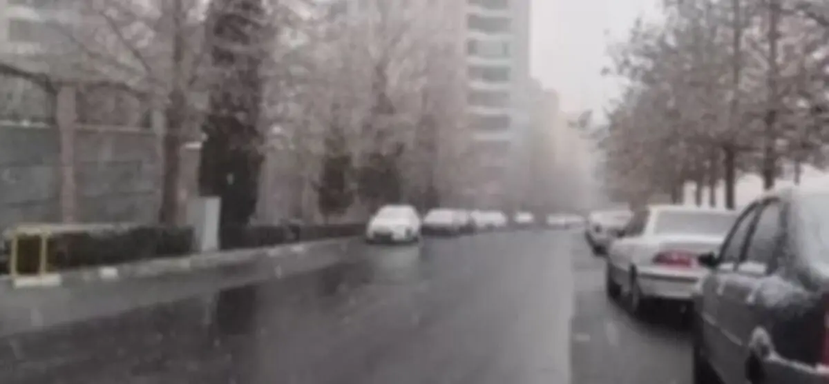 بارش برف در مناطق شمالی تهران + فیلم