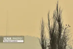 تصمیمات جلسه کارگروه کاهش آلودگی هوای تهران برای نیمه دوم سال