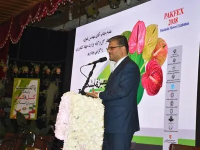 جشنواره های فرهنگی  گامی برای توسعه پایدار و ایجاد اشتغال است 
