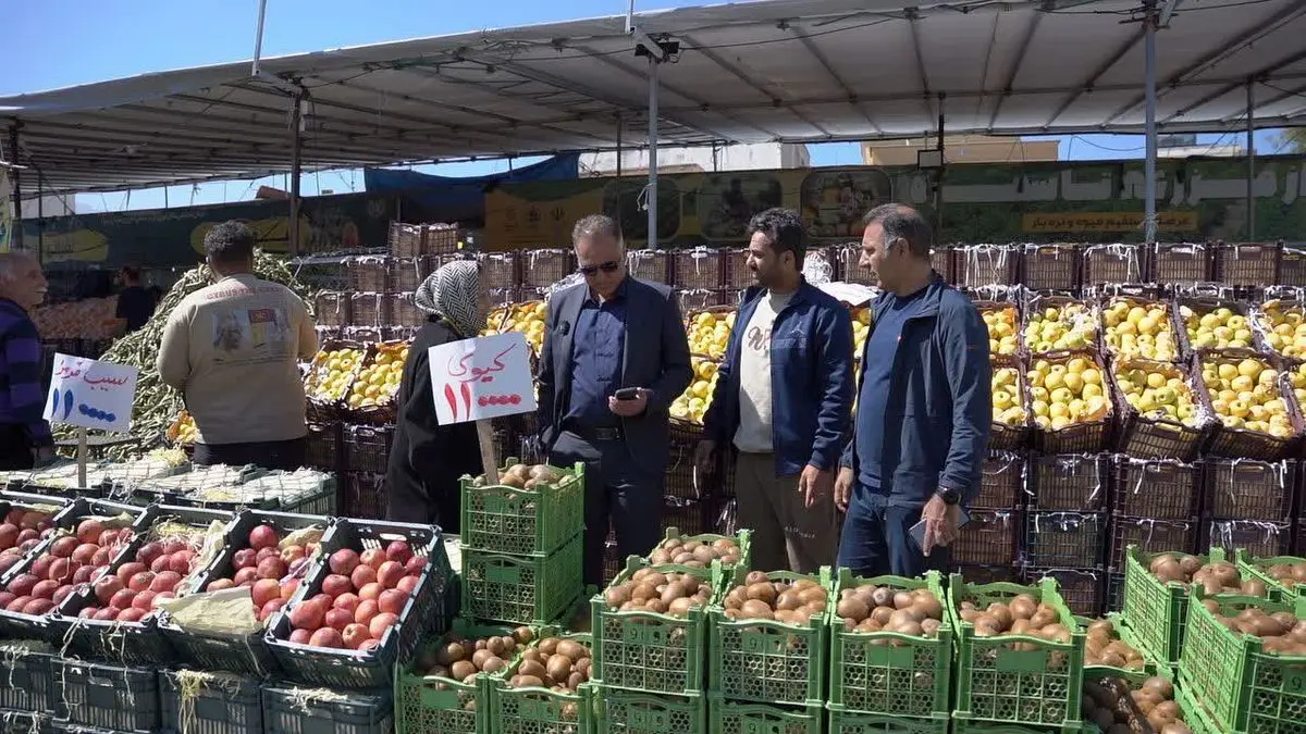 تأمین امنیت غذایی شیراز در شرایط جنگی/ توزیع ۲۴۷۲ تن میوه در ایام نوروز