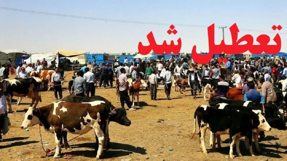 تعطیلی موقت میادین دام آذربایجان غربی برای مهار تببرفکی