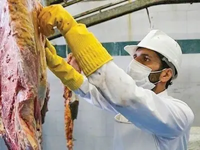 صدور حکم حبس تعزیری 6 ماهه برای قصاب متخلف در ایذه