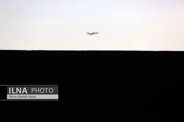 تک عکس/ پرواز