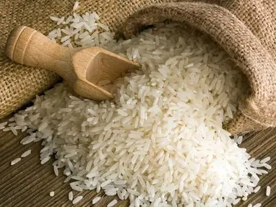 تفاوت برنج کشت اول و کشت دوم